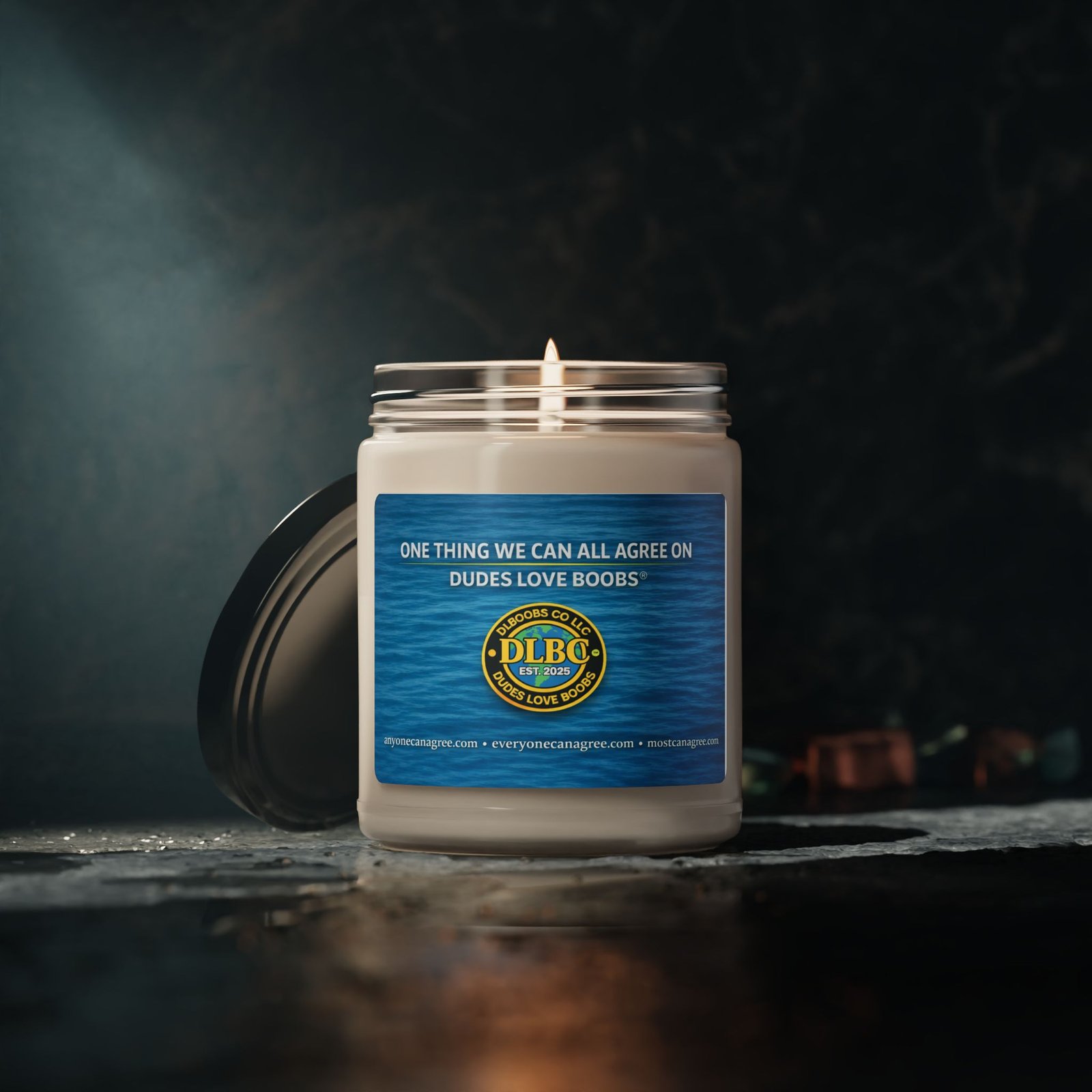DUDES LOVE BOOBS®—One thing we can all agree on. Funny quote soy candle Jar (9oz)